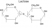 Lactose(lac).png