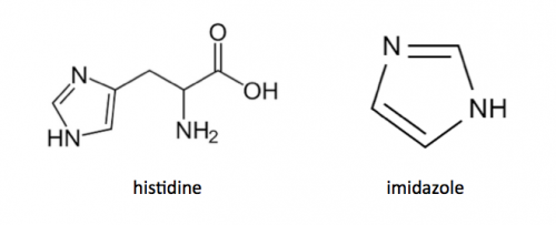 Sp17 20.109 M1D2histidine vs imidazole.png