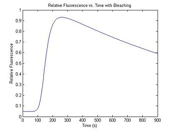 Fluorescence vs. time with photobleaching