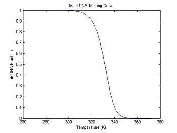Ideal DNA melting curve