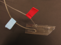 Microfluidic slide designed to study bacterial response to aerotaxis.  When air (20% oxygen) gets supplied to the "top" (red flag) channel and nitrogen (0% oxygen) to the "bottom" (blue flag) channel, Vibrio responds to varying levels of oxygen across the central channel.