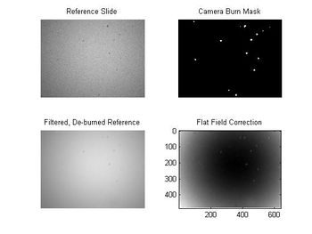 Steps In Overlaying Segmented Fluorescent Image