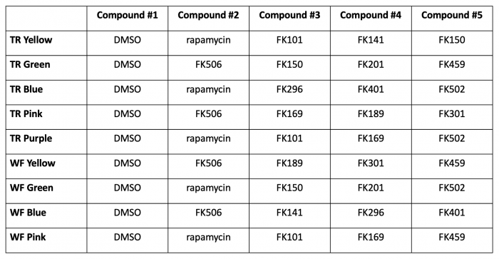 Fa22 M2D5 compound assignments.png