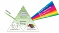 RSSE2007 ImperialCollege SyntheticBiology Prism.jpg