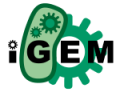 Igem-logo-150px.png