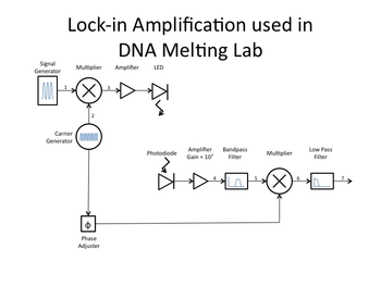 Block diagram of lock-in amplifier for DNA melting