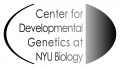 NYU-DG-logo.jpg