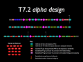 T7-2 alpha design.png