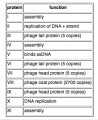 Macintosh HD-Users-nkuldell-Desktop-Mod1F07 wiki images-phageproteinfunctiontable.png
